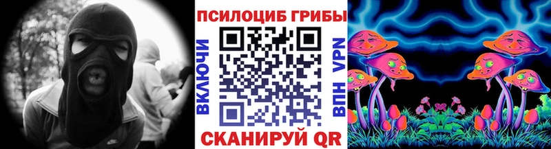 omg   цена   Верхнеуральск  Псилоцибиновые грибы Psilocybine cubensis 